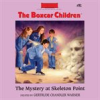 Book cover for "The Mystery at Skeleton Point".