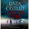 Book cover for "After the Storm".