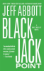 Book cover for "Black Jack Point".