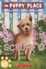 Book cover for "Scruffy".
