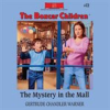 Book cover for "The Mystery in the Mall".