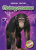 Book cover for "Chimpanzees".