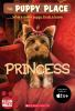 Book cover for "Princess".
