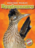 Book cover for "Roadrunners".