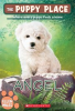 Book cover for "Angel".