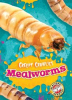 Book cover for "Mealworms".
