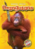 Book cover for "Orangutans".
