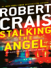 Book cover for "Stalking the Angel".