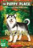 Book cover for "Kodiak".