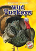 Book cover for "Wild Turkeys".