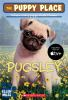 Book cover for "Pugsley".