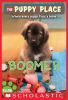 Book cover for "Boomer".