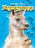 Book cover for "Kangaroos".