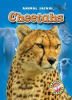 Book cover for "Cheetahs".