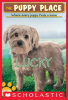 Book cover for "Lucky".