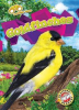 Book cover for "Goldfinches".
