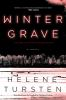 Book cover for "Winter grave".