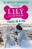 Book cover for "Foxes in a fix".