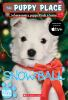 Book cover for "Snowball".