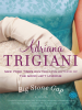 Book cover for "Big Stone Gap".