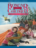 Book cover for "The Mystery of the Stolen Snowboard".