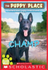 Book cover for "Champ".