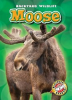 Book cover for "Moose".