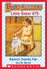 Book cover for "Karen's County Fair".