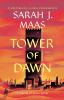 Book cover for "Tower of dawn".