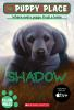 Book cover for "Shadow".