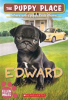 Book cover for "Edward".