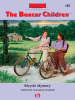 Book cover for "Bicycle Mystery".