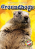 Book cover for "Groundhogs".