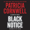 Book cover for "Black Notice".