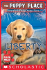 Book cover for "Liberty".