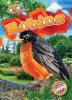 Book cover for "Robins".