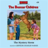 Book cover for "The Mystery Horse".