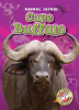 Book cover for "Cape Buffalo".