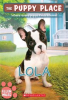 Book cover for "Lola".