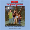Book cover for "The Mystery of the Runaway Ghost".
