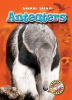 Book cover for "Anteaters".