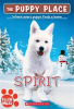 Book cover for "Spirit".