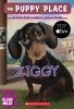 Book cover for "Ziggy".