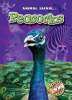 Book cover for "Peacocks".