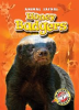 Book cover for "Honey Badgers".