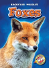 Book cover for "Foxes".