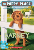 Book cover for "Barney".