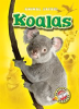 Book cover for "Koalas".