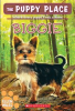 Book cover for "Biggie".
