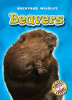 Book cover for "Beavers".